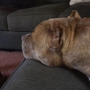 Meet your Posher, Wendy